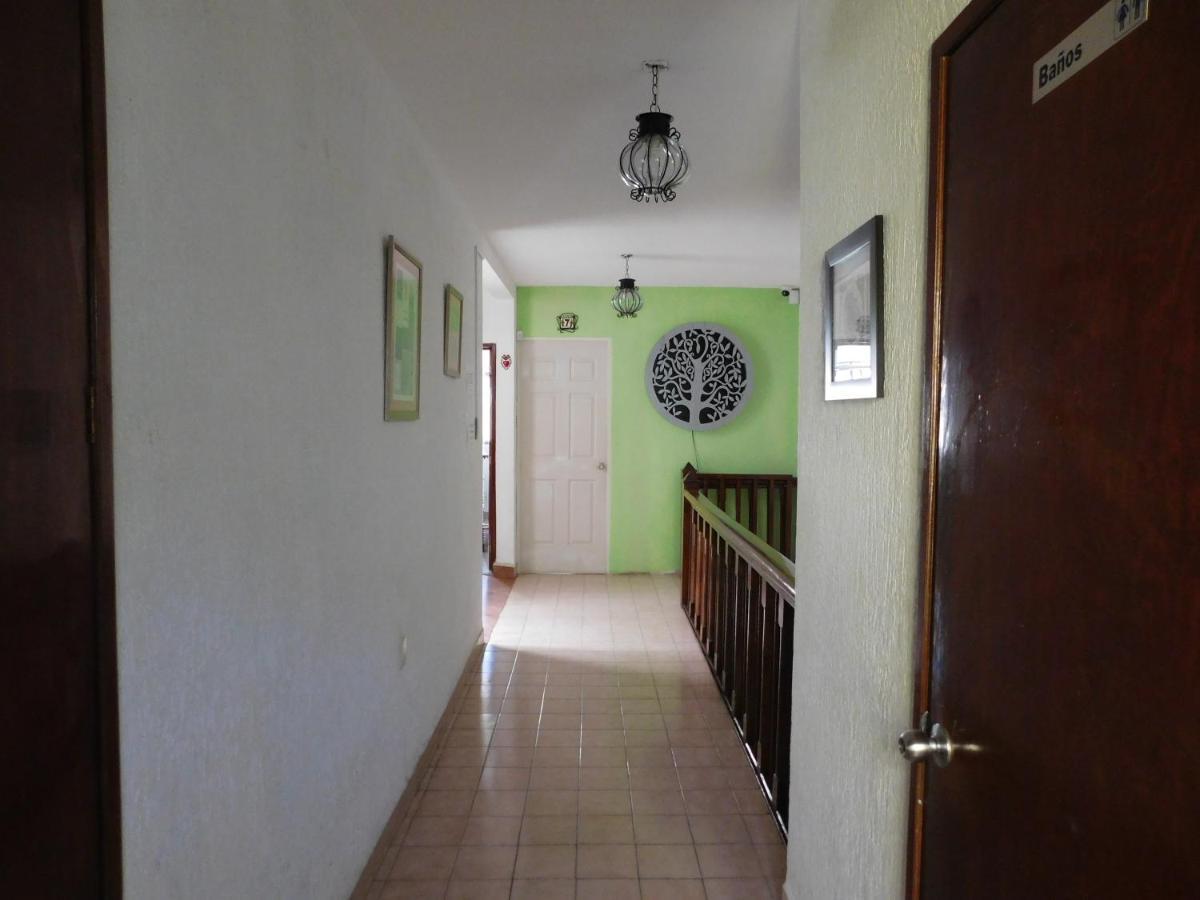 Casona Luciernaga-Casa De Huespedes Pension León Buitenkant foto